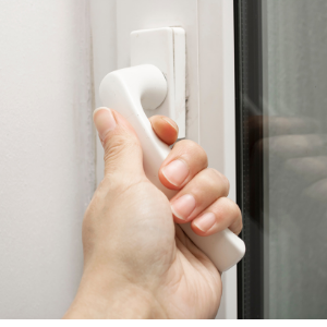 truth window part